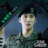 도베르만 Doberman (Doberman)