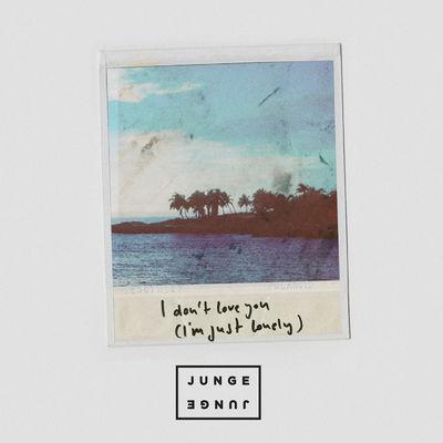 Album cover art for I Don't Love You (I'm Just Lonely)