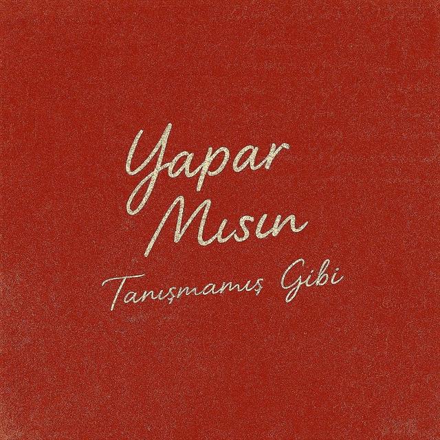 Album cover art for YAPAR MISIN?