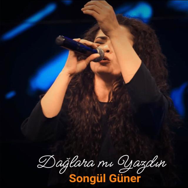 Album cover art for Dağlara mı Yazdın