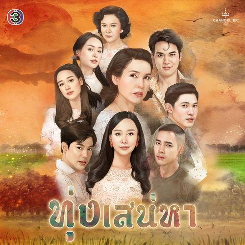 Album cover art for เพลงประกอบละคร ทุ่งเสน่หา