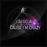 Cause I'm Crazy