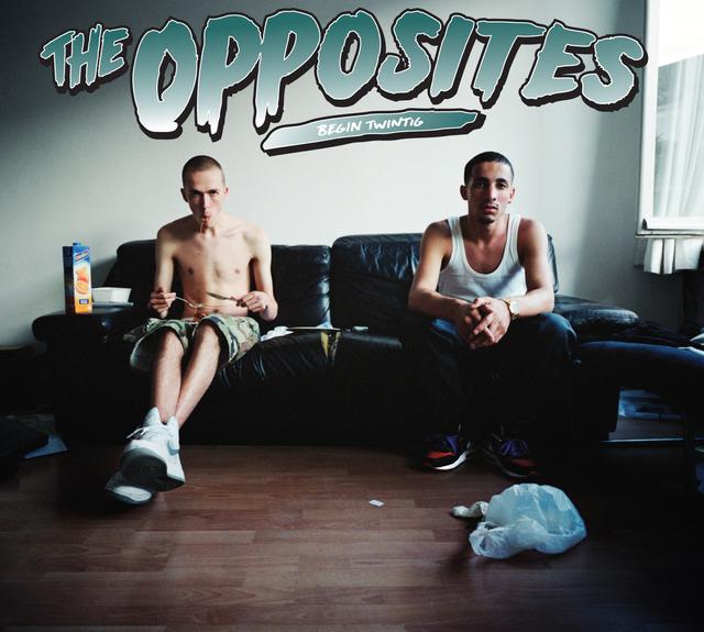 Album cover art for Begin 20