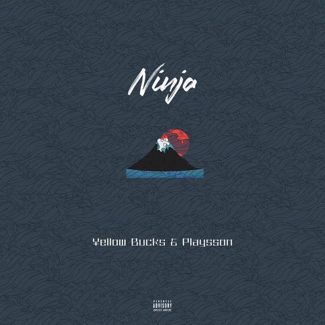 Album cover art for Ninja