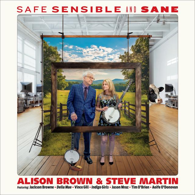 Album cover art for Safe, Sensible and Sane