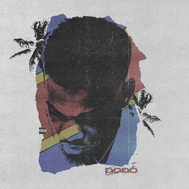 Album cover art for Dodo