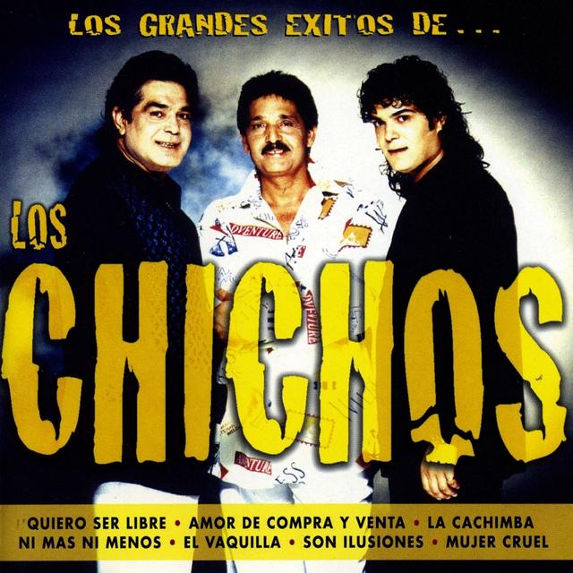Album cover art for Grandes Exitos