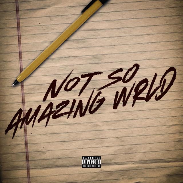 Album cover art for Not so Amazing World