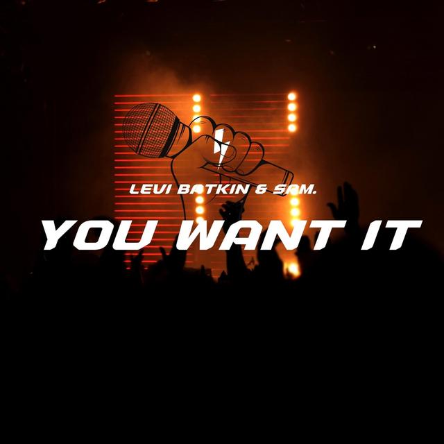 Album cover art for You Want It