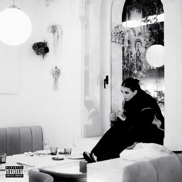 Album cover art for Do Not Disturb