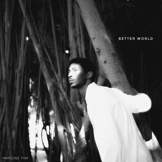 Album cover art for Better World