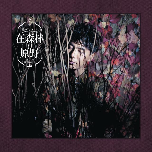 Album cover art for 在森林和原野