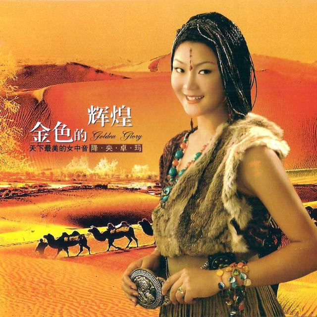 Album cover art for 金色的辉煌