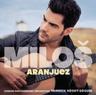Concierto de Aranjuez for Guitar and Orchestra: 2. Adagio