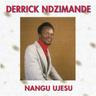 Ungasindiswa