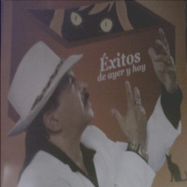 Album cover art for Éxitos de Ayer y Hoy