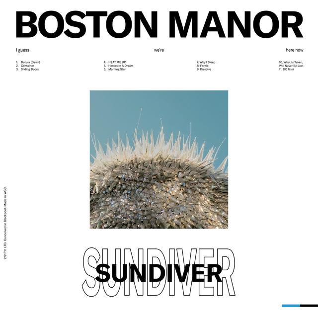 Album cover art for Sundiver