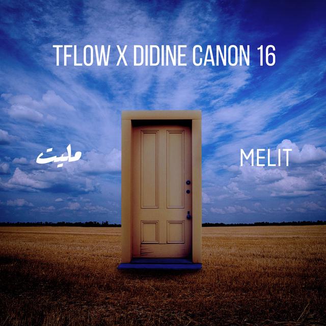 Album cover art for Melit