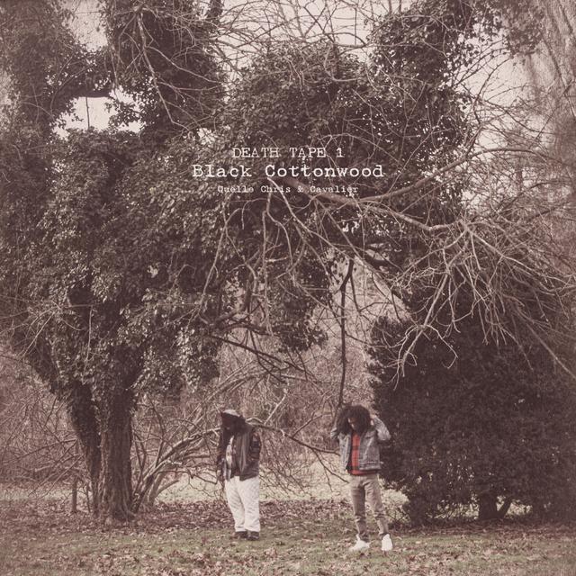 Album cover art for Black Cottonwood