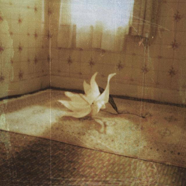 Album cover art for Siren