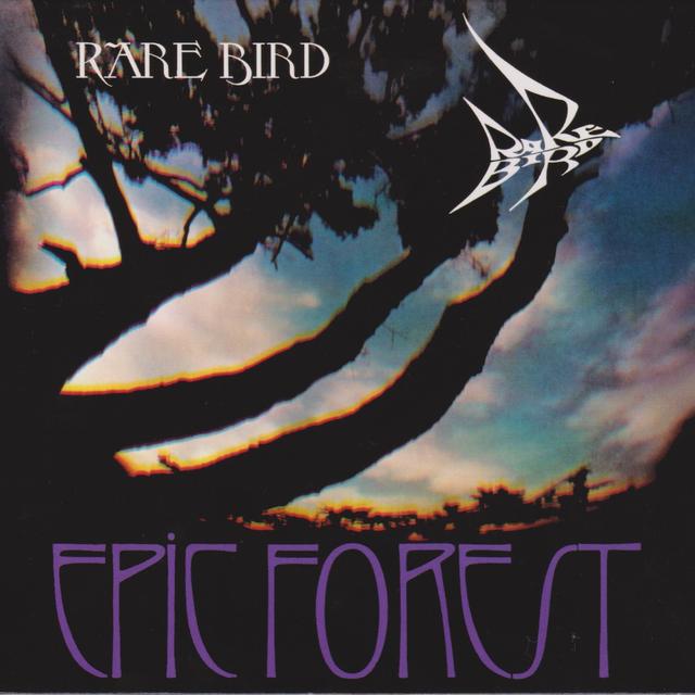 Album cover art for Epic Forest