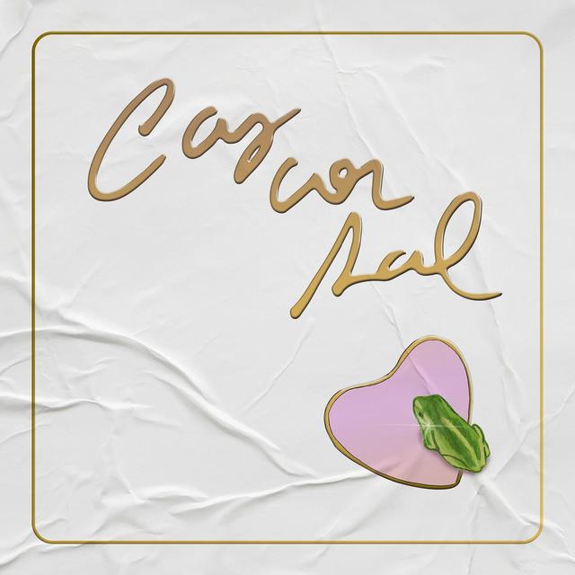 Album cover art for Cas Con Sal