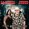 Yo Te Quiero (Bay, Bay)