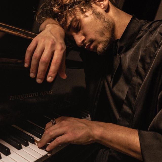 Album cover art for magnum opus