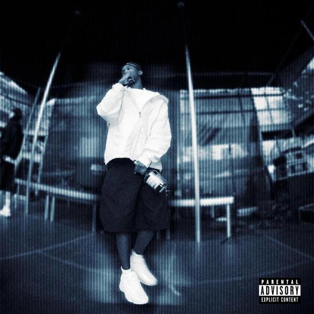 Album cover art for Fejlfri