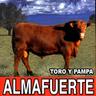 Debes Saberlo