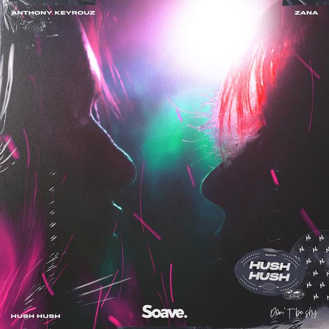 Album cover art for Hush Hush (Don't Be Shy)