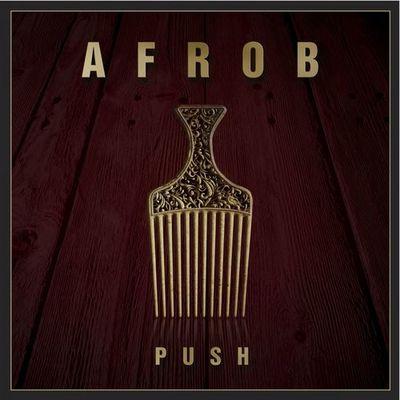 Album cover art for Push