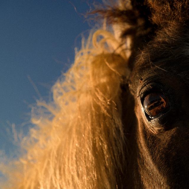 Album cover art for I Got Heaven