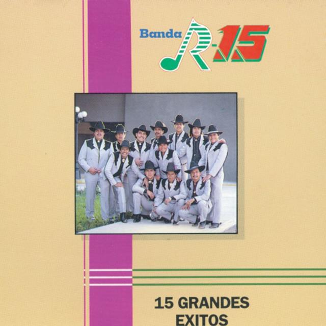 Album cover art for 15 Grandes Éxitos