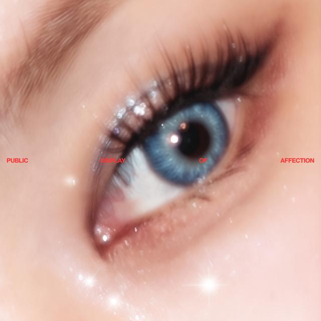 Album cover art for PDA