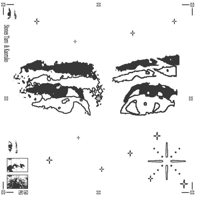 Album cover art for Y