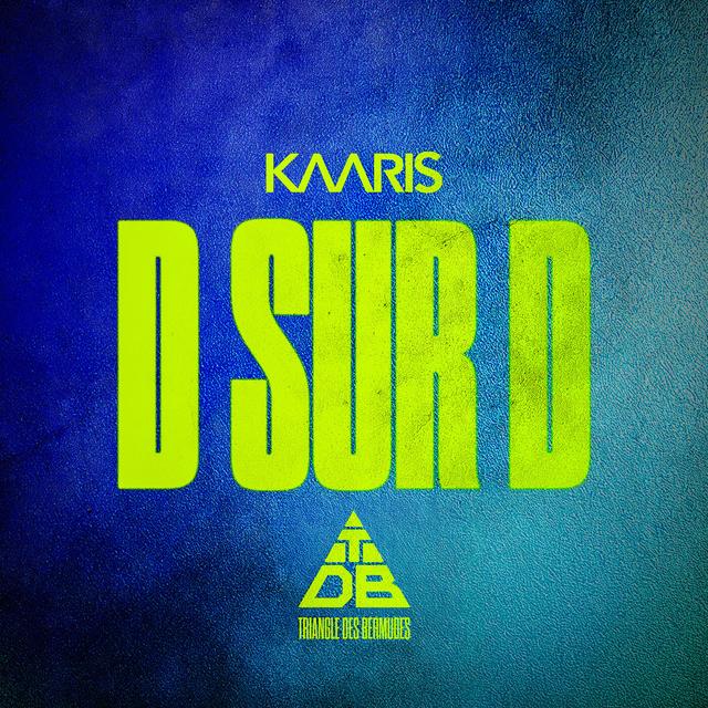 Album cover art for D SUR D