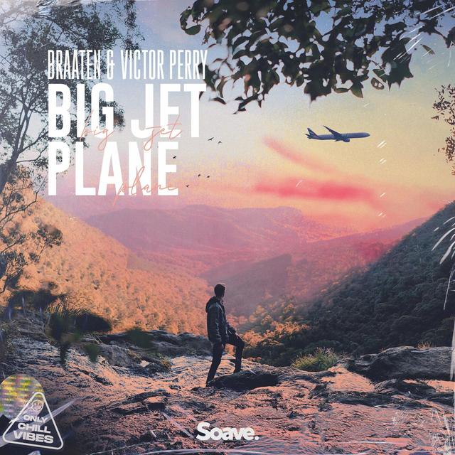 Album cover art for Big Jet Plane
