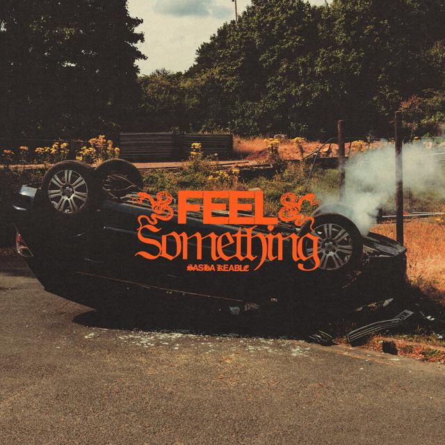Album cover art for FEEL SOMETHING