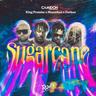 Sugarcane