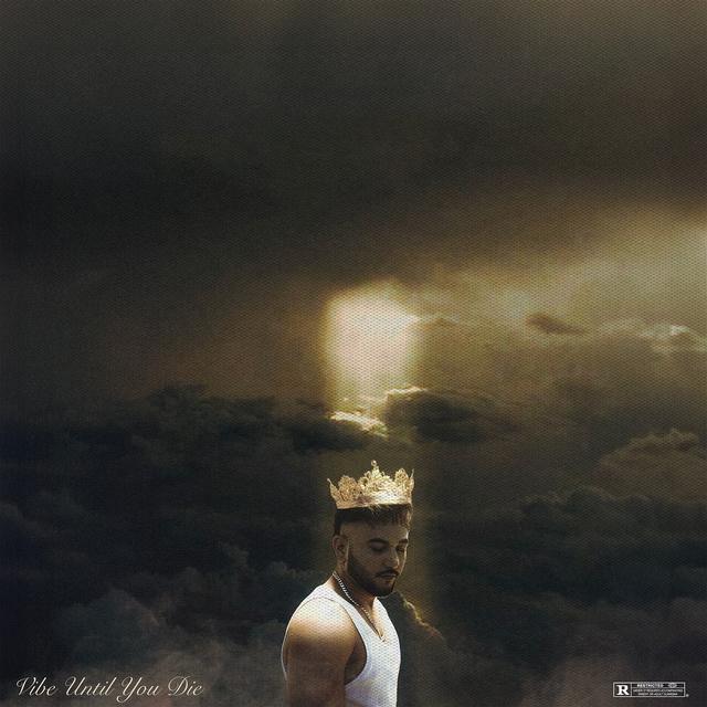 Album cover art for Vibe Until You Die