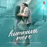 हमनवा मेरे (Humnava Mere)