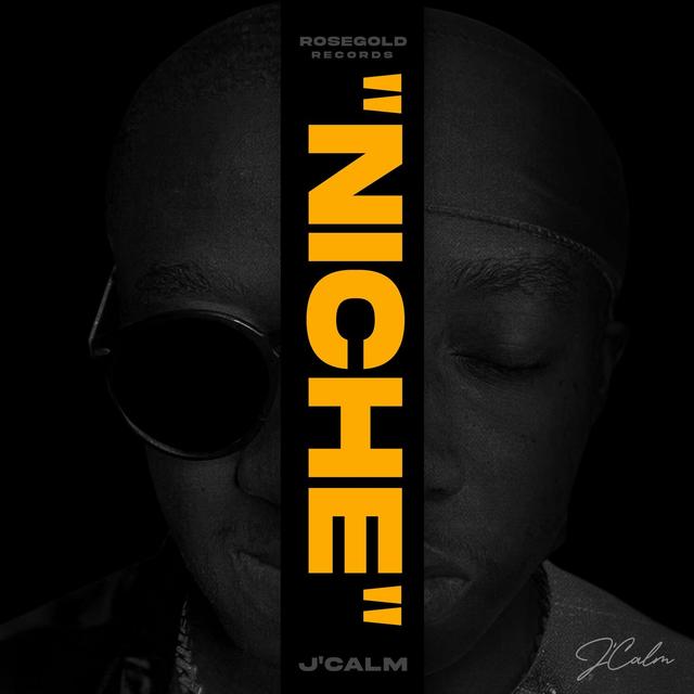 Album cover art for NICHE