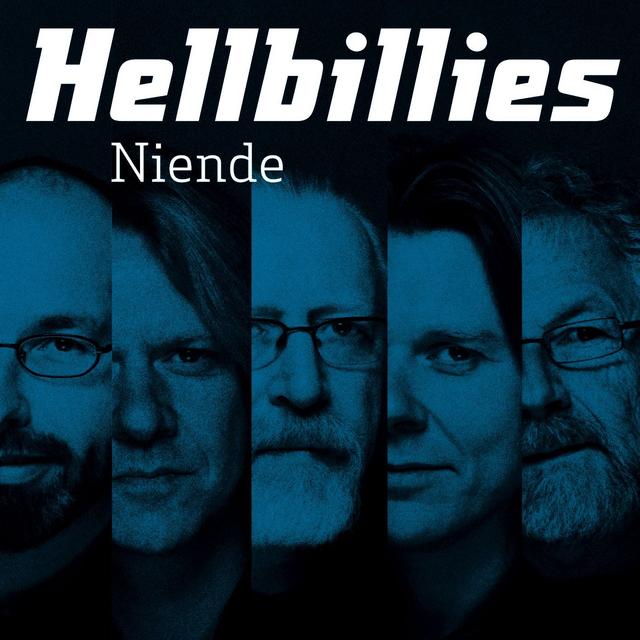 Album cover art for Niende