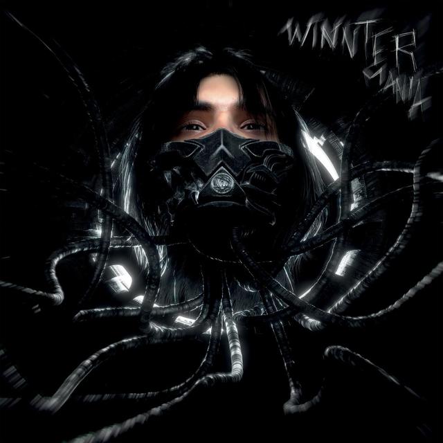 Album cover art for Winntermania