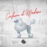 Cachorro de Madame