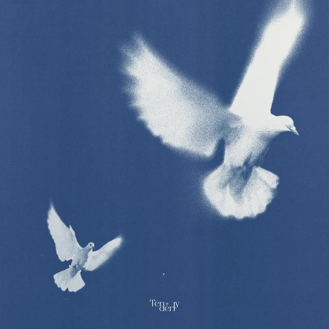 Album cover art for Tenderly