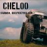 Suma defectelor