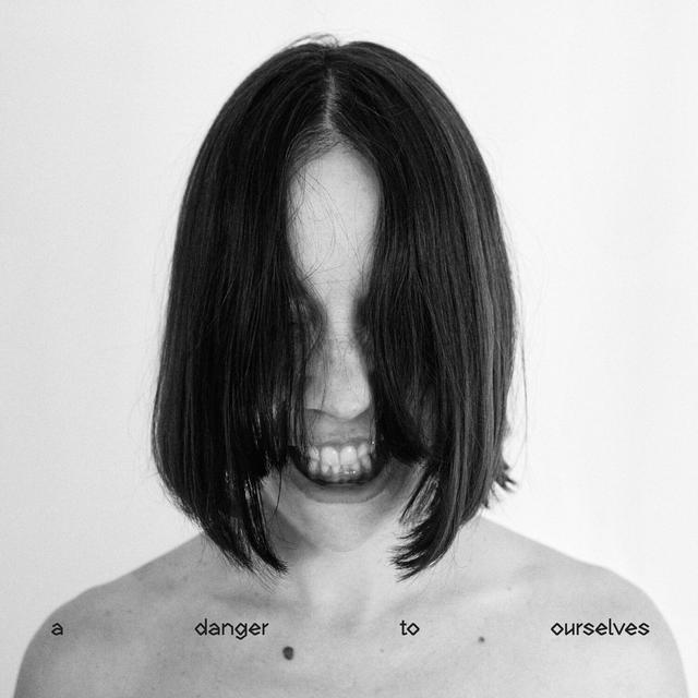 Album cover art for A Danger to Ourselves