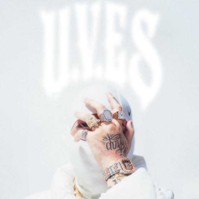 Album cover art for UNA VALIJA EN SENTIMIENTO